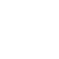 web-logo-white